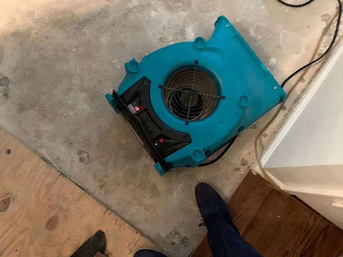 Air mover drying subfloor during Leak Detection & Repair in Lower Heidelberg